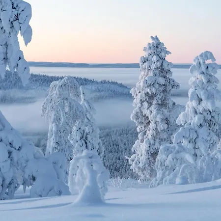 Ylläs Vi 6302 By In Lapland Appartamento *
